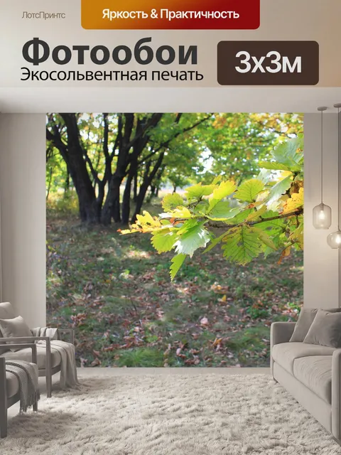Фотообои Осень