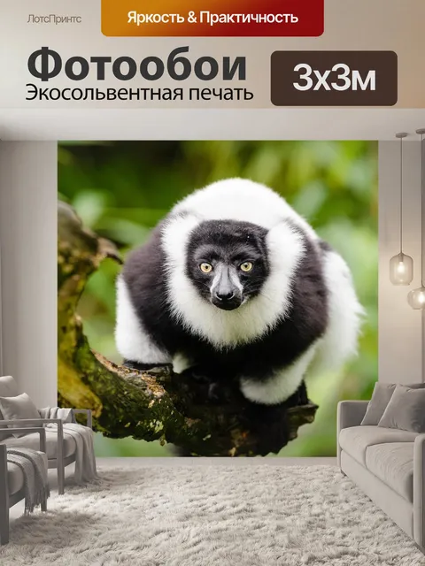 Фотообои Животное