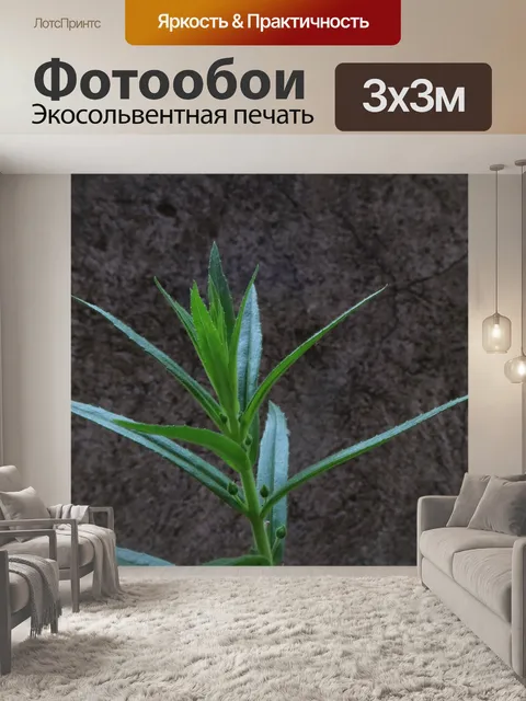 Фотообои Лаванда