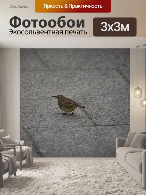 Фотообои Молодой воробей