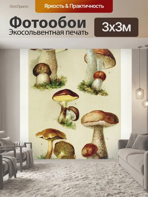 Фотообои Винтажная иллюстрация грибов чемпиона