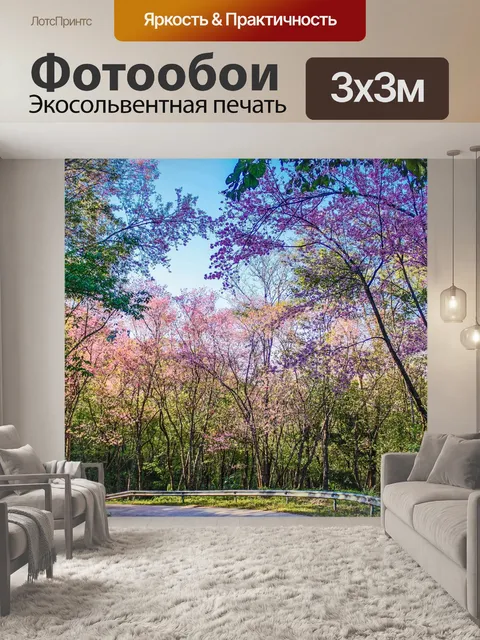 Фотообои Дикая гималайская вишня, Чианг Рай