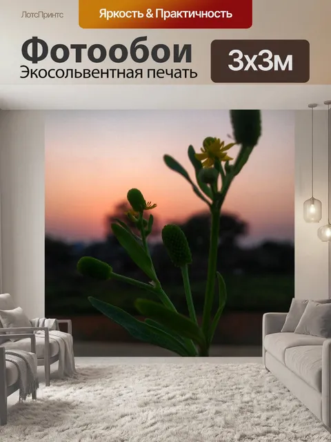 Фотообои Заход солнца