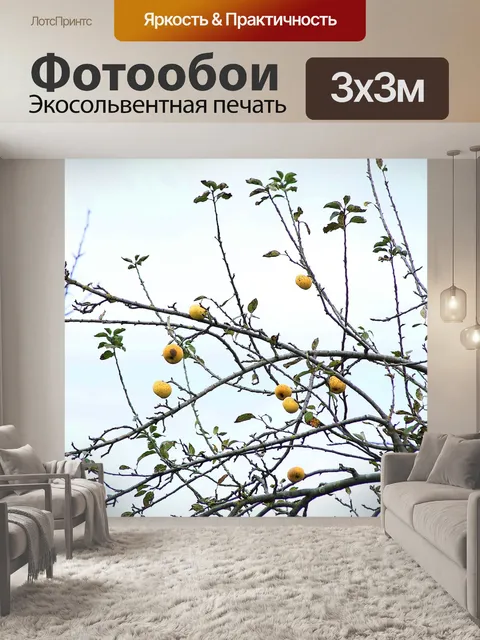 Фотообои Фрукты