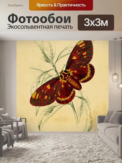 Фотообои Moth Vintage Art Принт