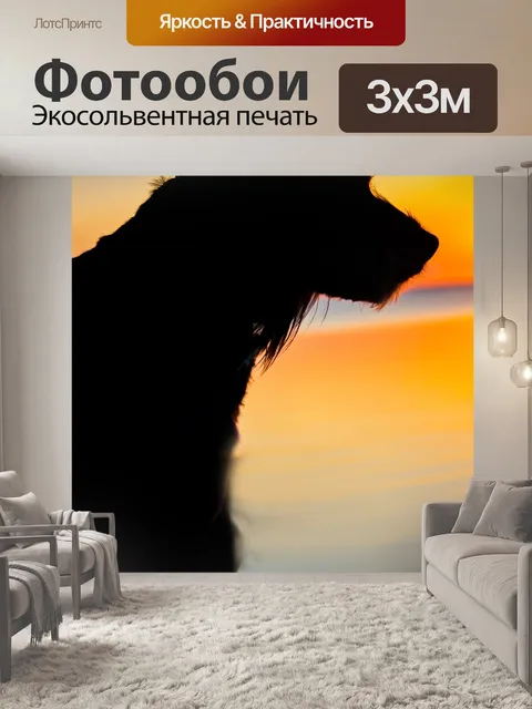 Фотообои Собака