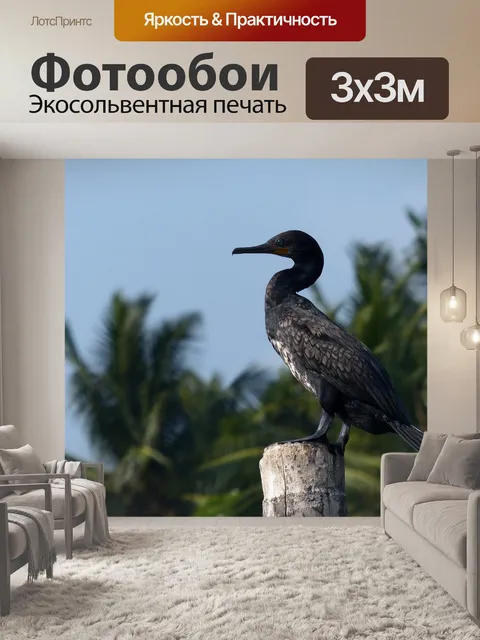 Фотообои Птица