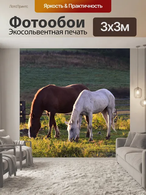Фотообои Лошади