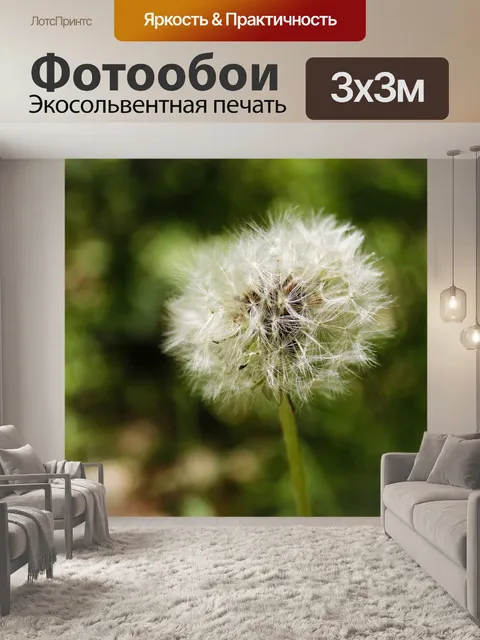 Фотообои Одуванчик