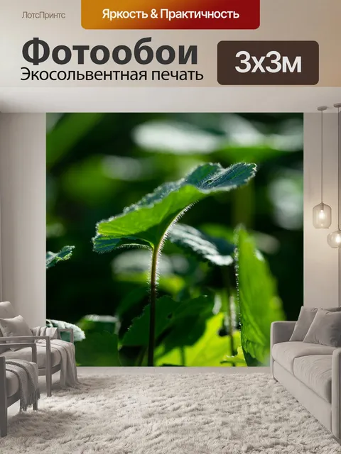 Фотообои Листья