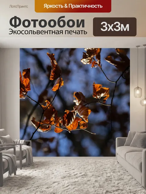 Фотообои Падение