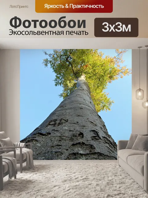 Фотообои Дерево