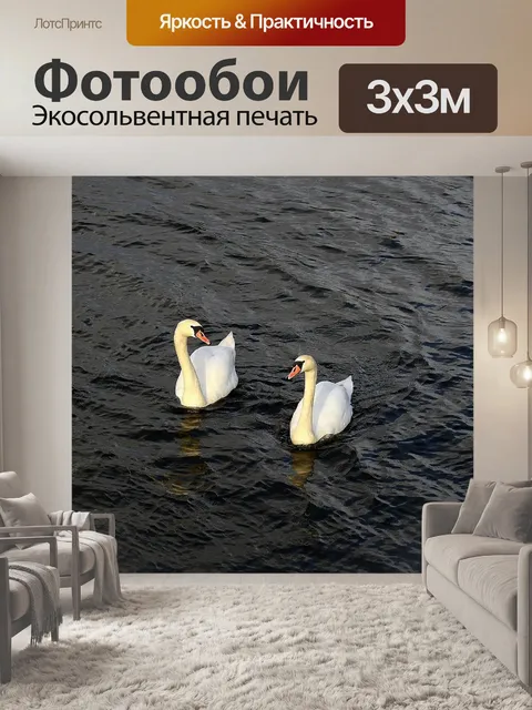 Фотообои Лебеди