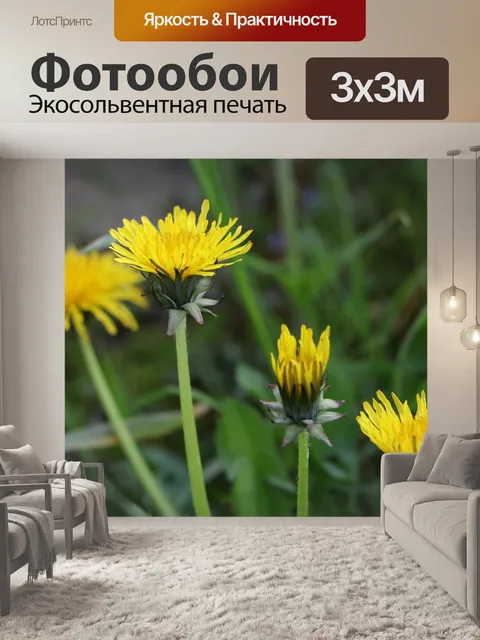 Фотообои Желтые одуванчики