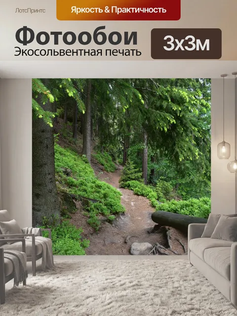 Фотообои Дорога