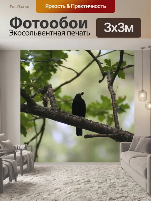 Фотообои Птица