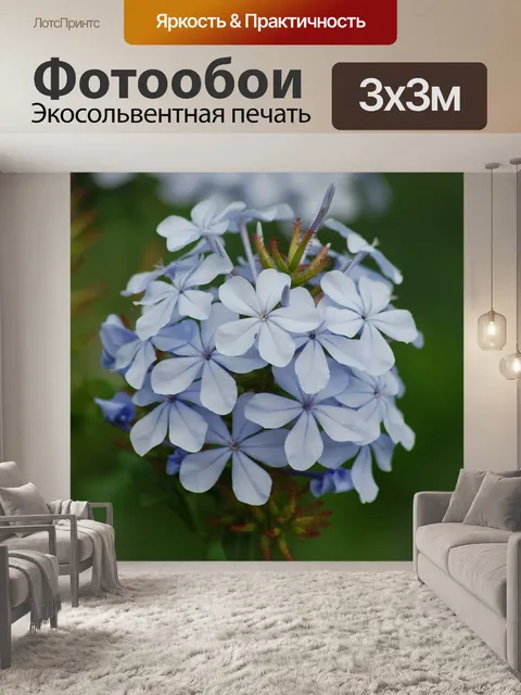 Фотообои Графит
