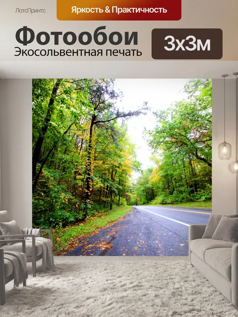 Фотообои Осенняя дорога