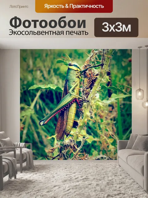 Фотообои Животное