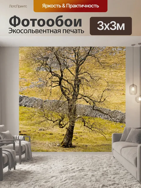 Фотообои Дерево