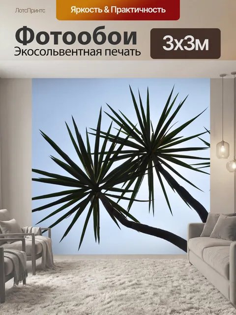 Фотообои Деревья