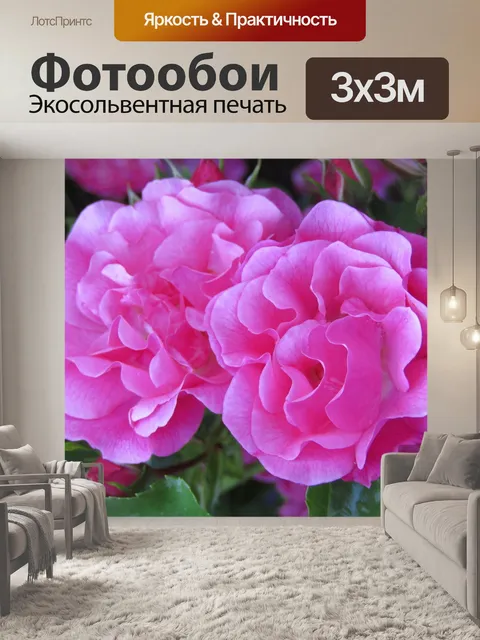 Фотообои Розы
