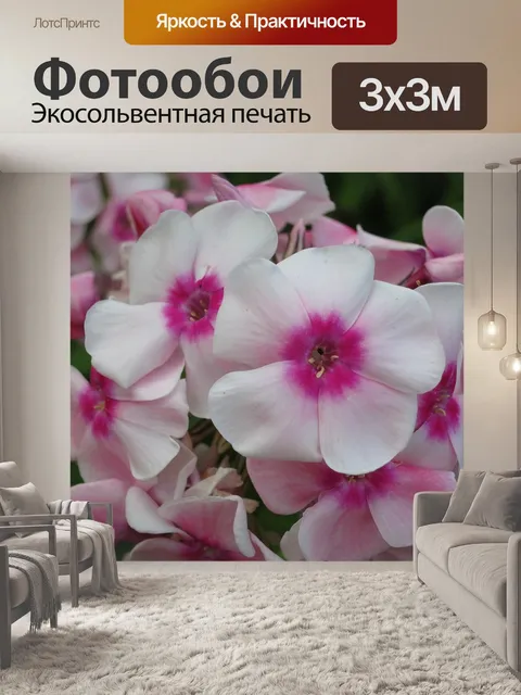 Фотообои Цветок