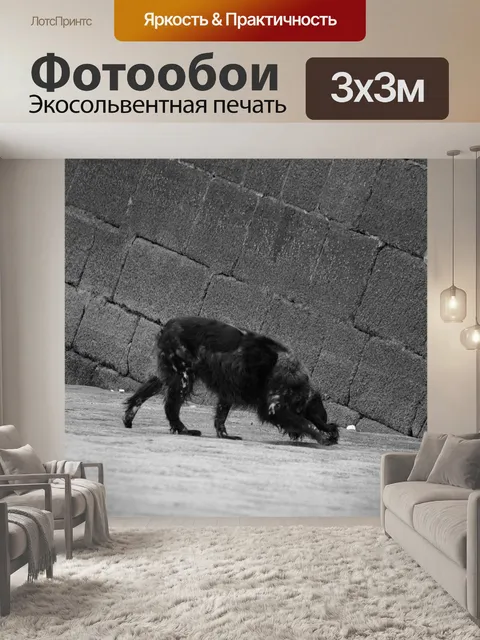 Фотообои Охотничьи собаки