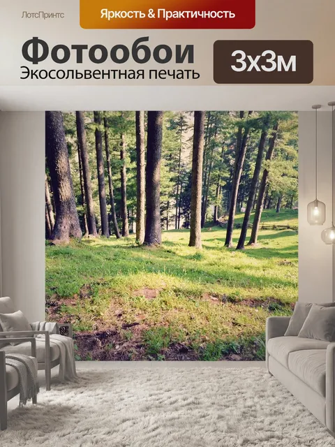 Фотообои Лес