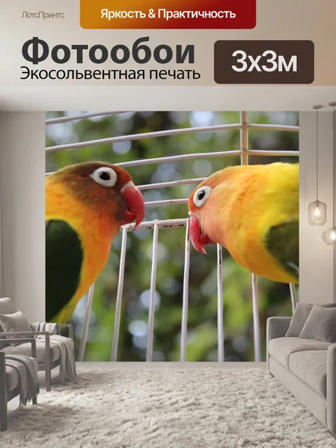 Фотообои Птица