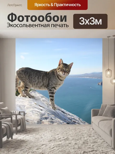 Фотообои Кот