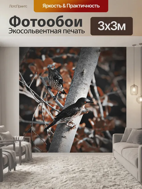 Фотообои Птицы
