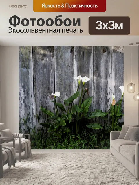 Фотообои Кали-лилии и забор