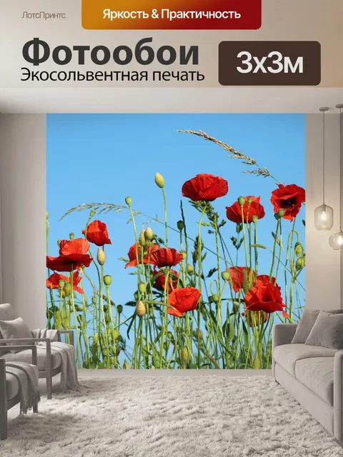 Фотообои Маки