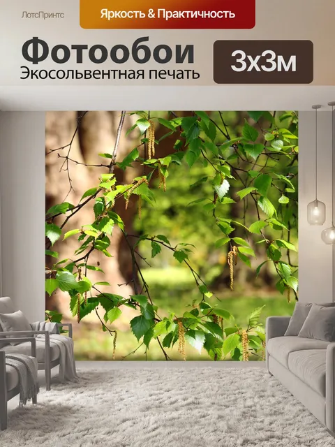 Фотообои Береза