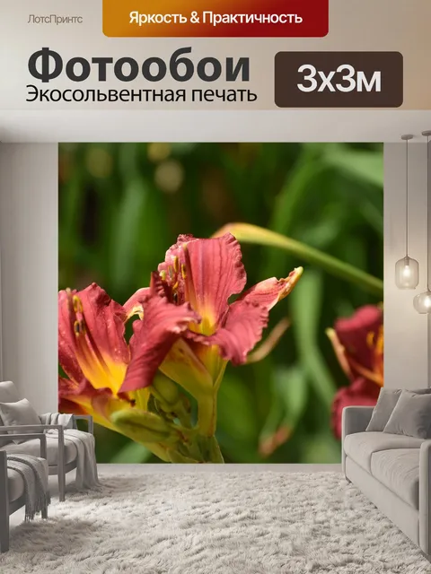 Фотообои Цветы