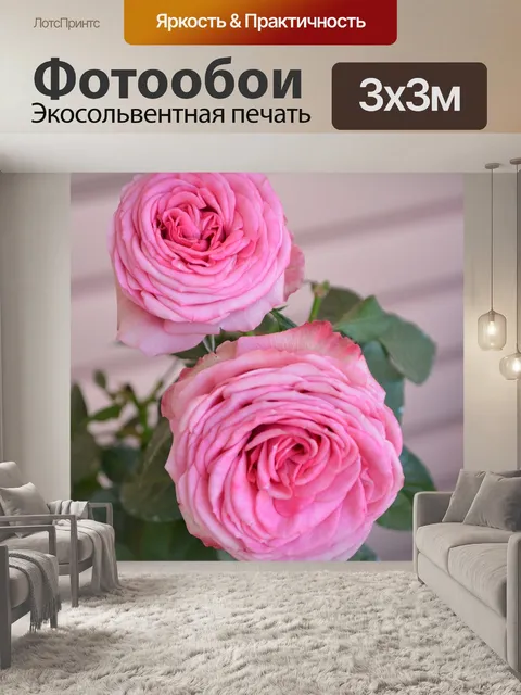 Фотообои Роза