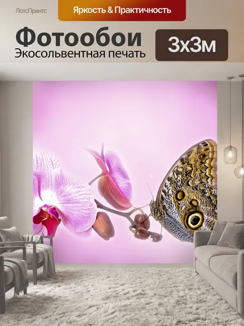 Фотообои бабочка на орхидеи