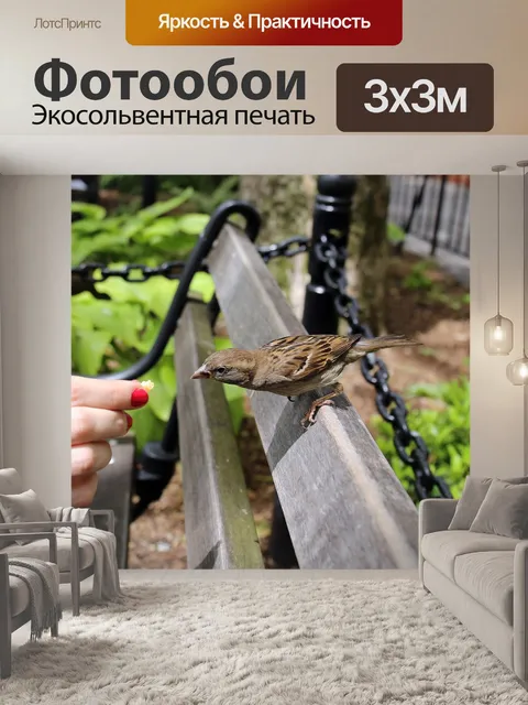 Фотообои Птица