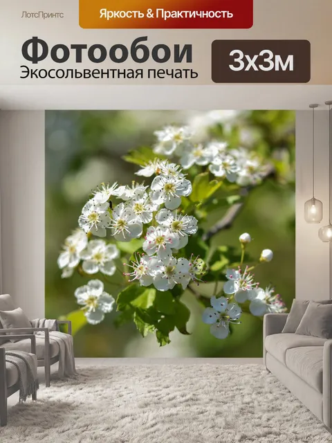 Фотообои Дерево