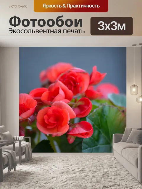 Фотообои Красные цветы