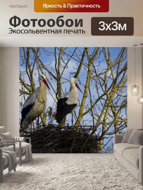 Фотообои Аист