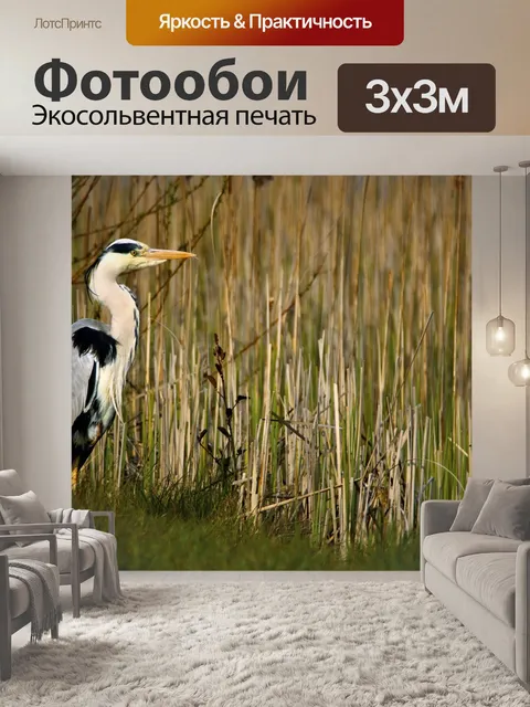 Фотообои Цапля