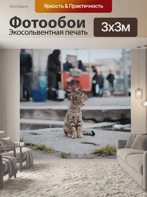 Фотообои Кошка