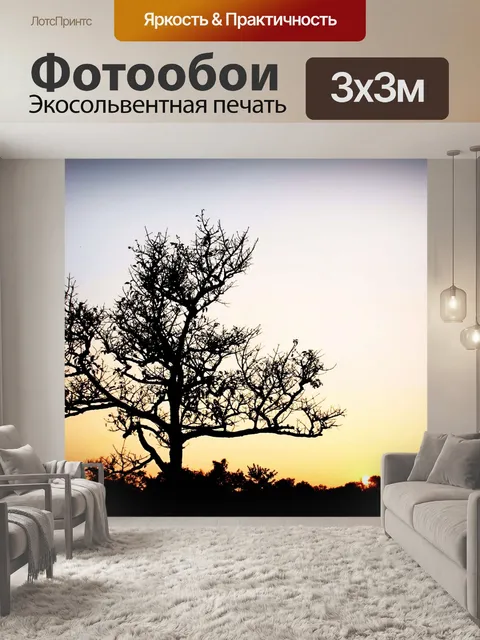 Фотообои Силуэт дерева в природе