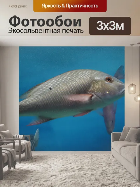 Фотообои Рыбы