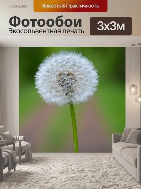 Фотообои Одуванчик