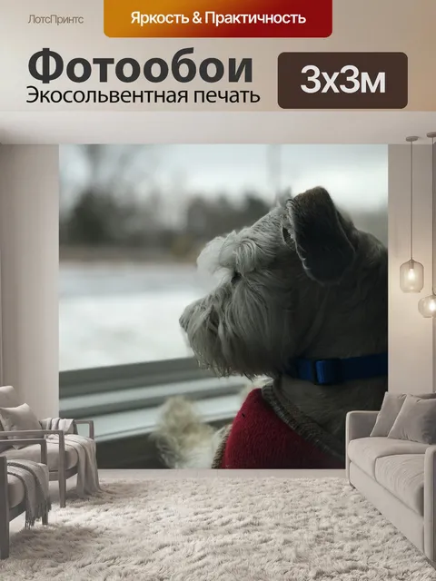 Фотообои Окна собаку