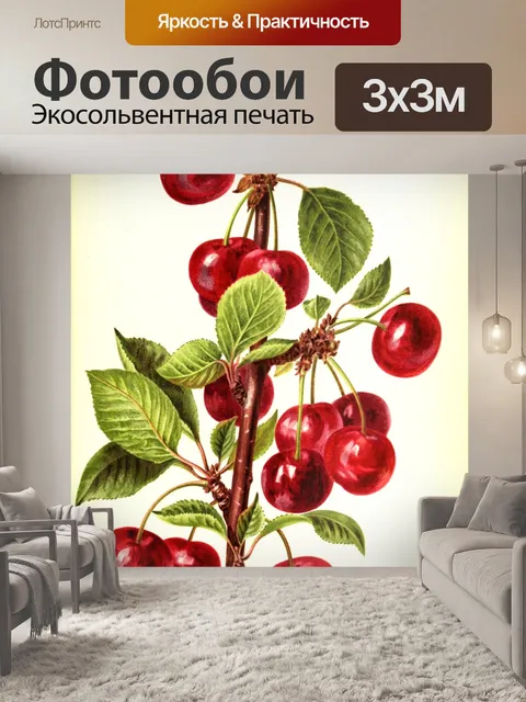 Фотообои Винтажное искусство фрукты вишни