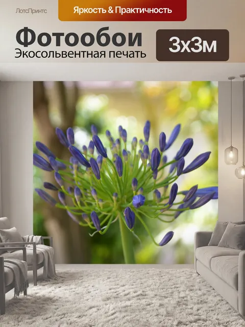 Фотообои Лилия нила